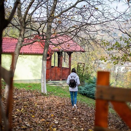 Holiday Home Nanin Konak 2 Vrdnik Eksteriør bilde