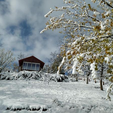 Holiday Home Nanin Konak 2 Vrdnik Eksteriør bilde