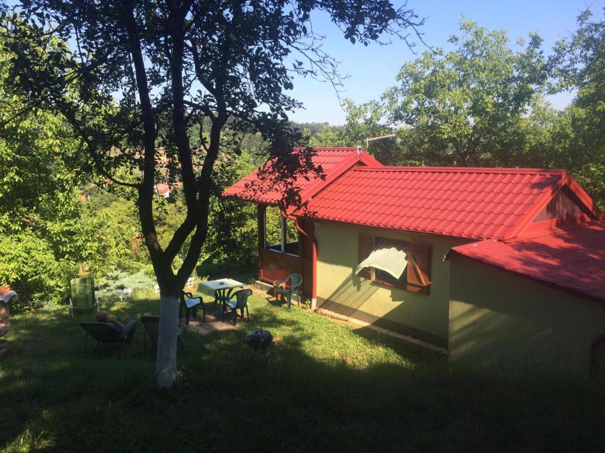 Holiday Home Nanin Konak 2 Vrdnik Eksteriør bilde