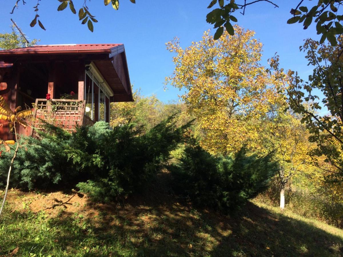 Holiday Home Nanin Konak 2 Vrdnik Eksteriør bilde