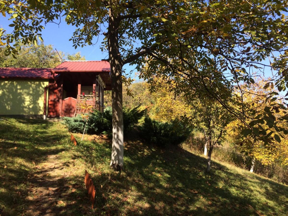 Holiday Home Nanin Konak 2 Vrdnik Eksteriør bilde