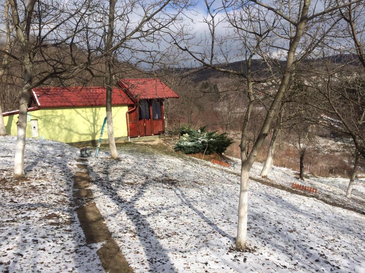 Holiday Home Nanin Konak 2 Vrdnik Eksteriør bilde