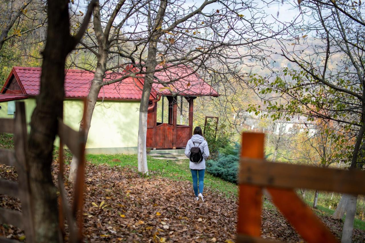 Holiday Home Nanin Konak 2 Vrdnik Eksteriør bilde