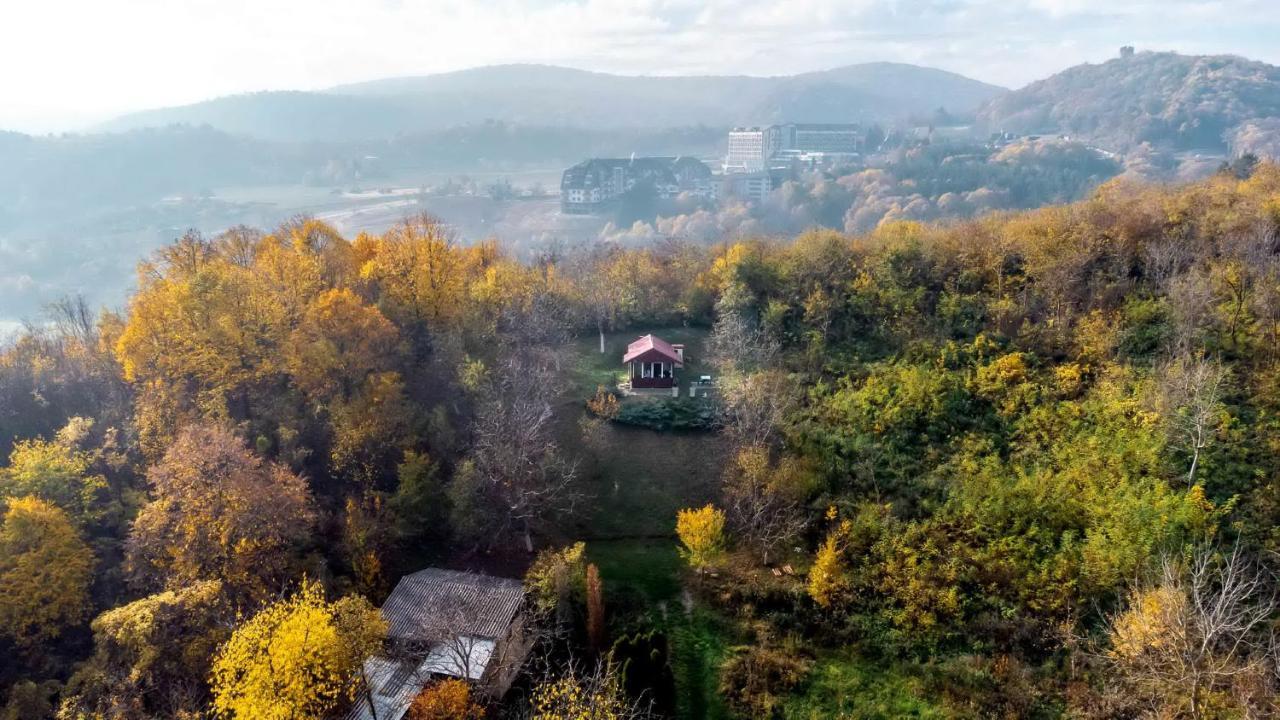 Holiday Home Nanin Konak 2 Vrdnik Eksteriør bilde