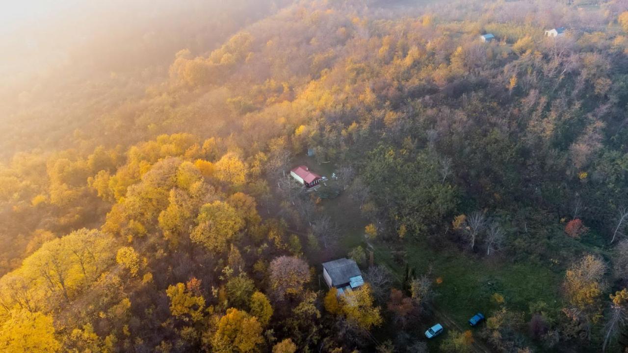 Holiday Home Nanin Konak 2 Vrdnik Eksteriør bilde