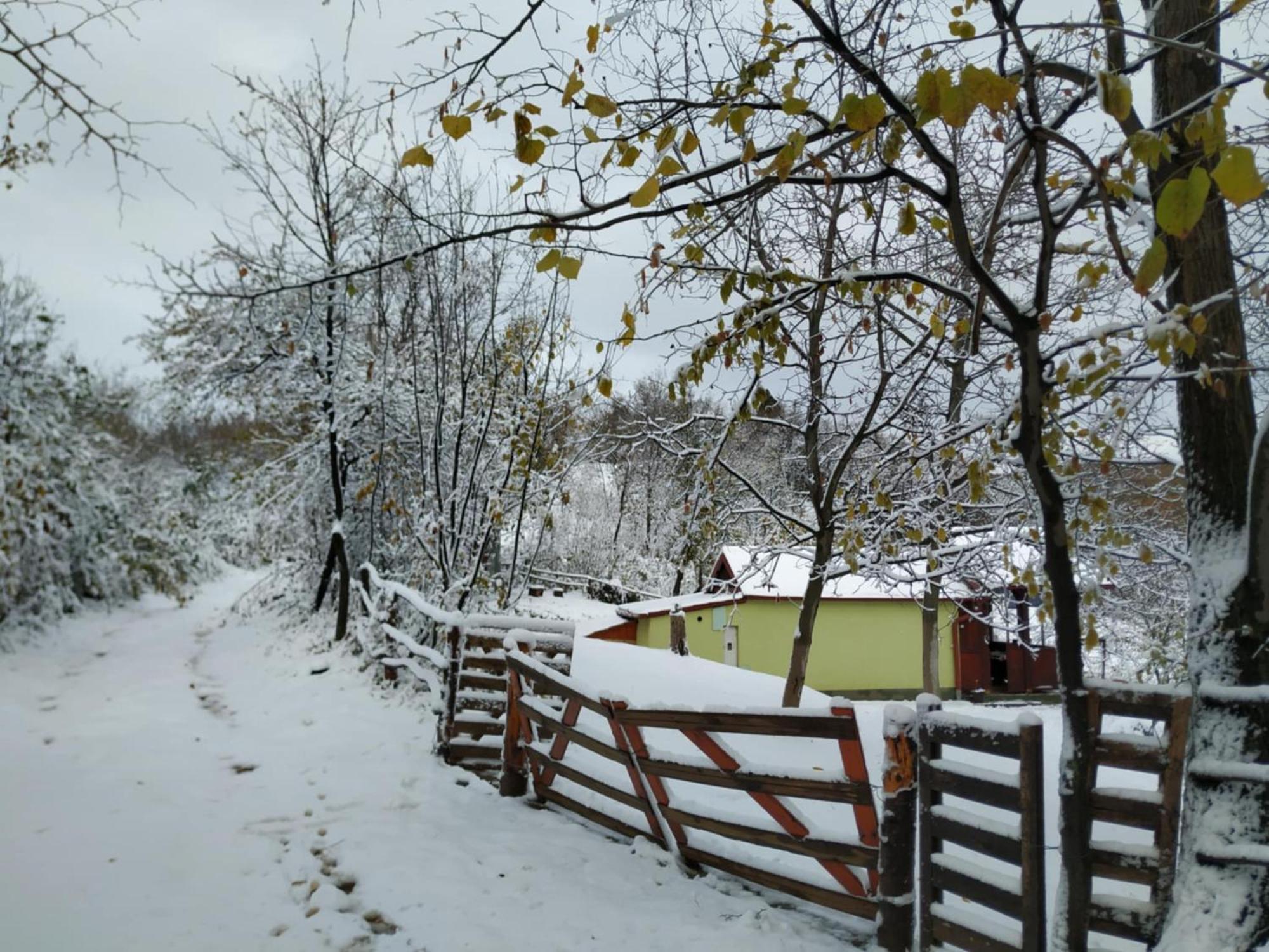 Holiday Home Nanin Konak 2 Vrdnik Eksteriør bilde