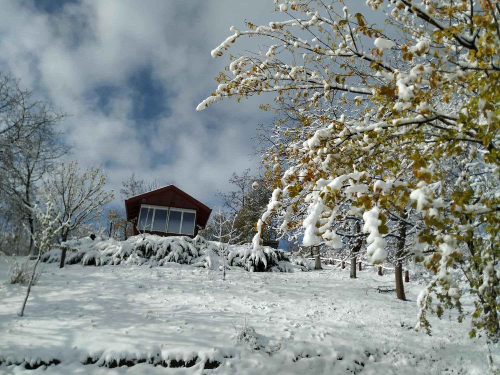 Holiday Home Nanin Konak 2 Vrdnik Eksteriør bilde