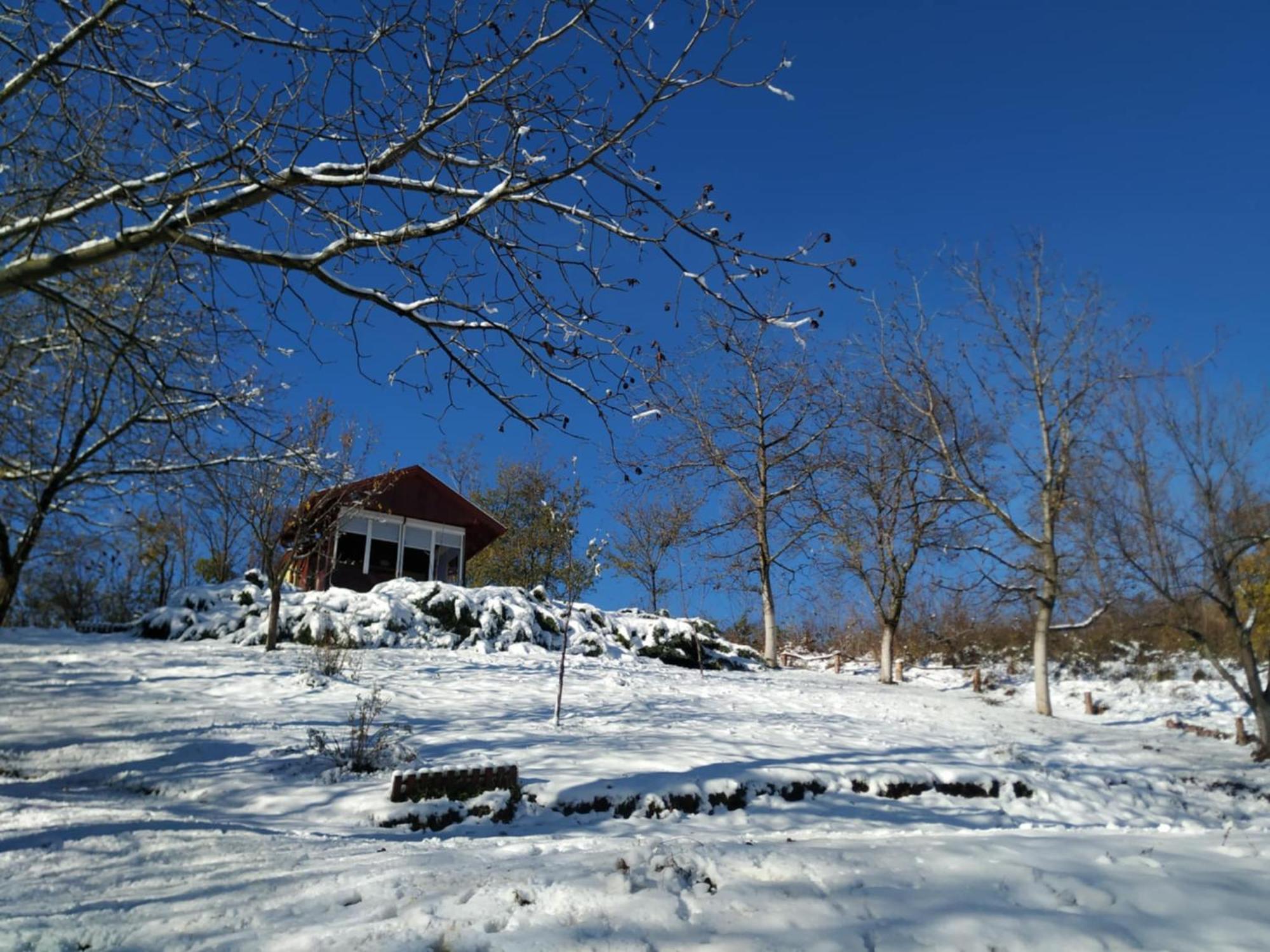 Holiday Home Nanin Konak 2 Vrdnik Eksteriør bilde