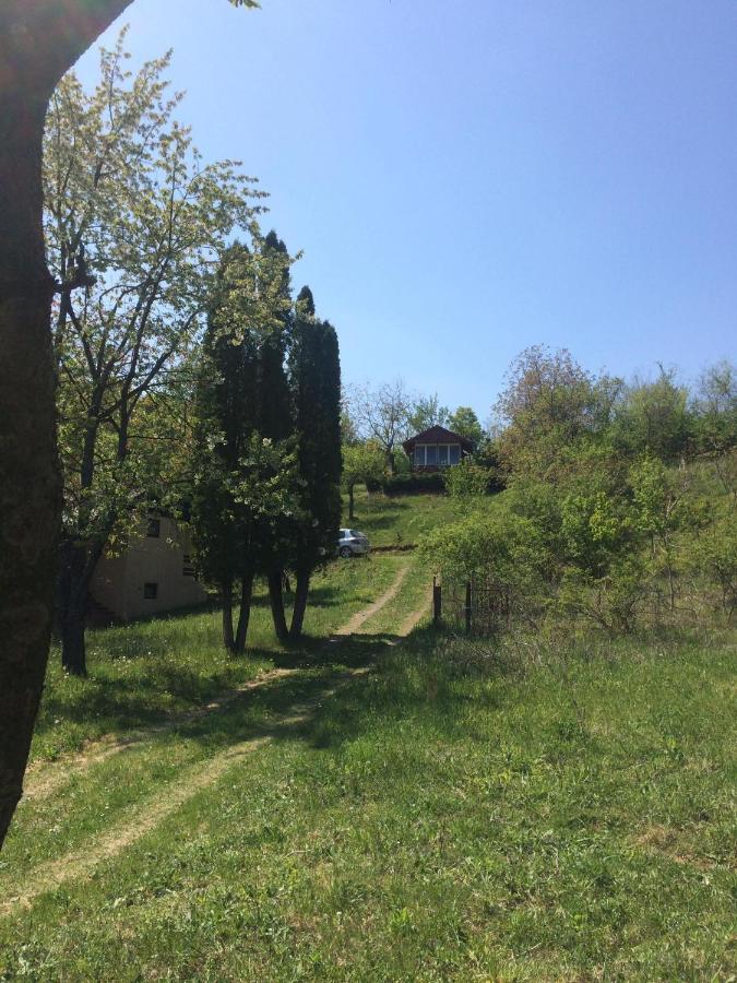 Holiday Home Nanin Konak 2 Vrdnik Eksteriør bilde